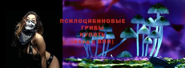 spice Вязьма
